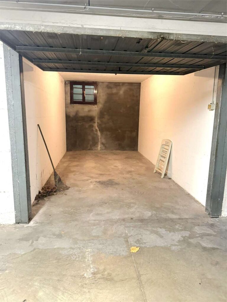 imm_41547-20241015182930-1280