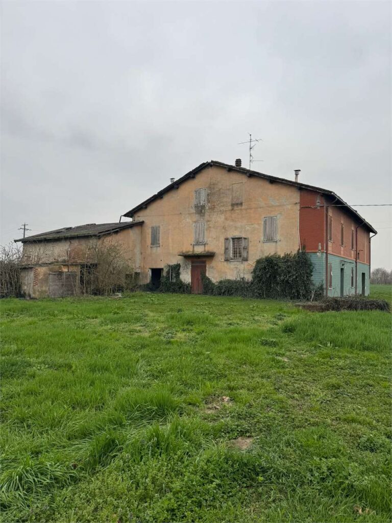 imm_48049-20260306164313-1280