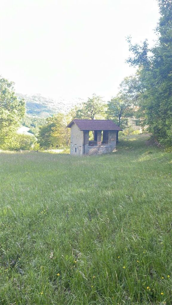 imm_49007-20260427152705-1280.jpeg